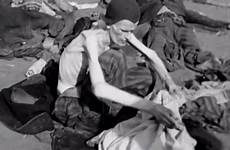 camps german atrocities factual documentary shattering revisiting clarity imperial