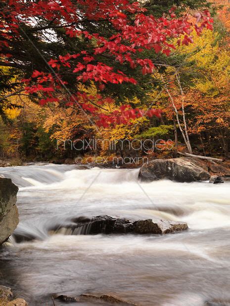 Photo Of River Rapids Fall Nature Scenery Stock Image Mxi22588