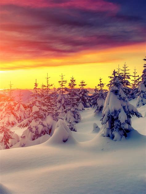 Free Download Winter Sunset With Snow 4k Ultra Hd Wallpaper 4k