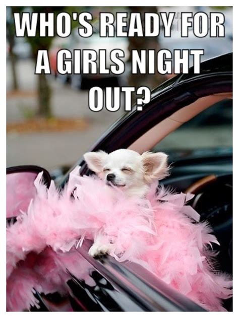 Fun Girls Night Out Quotes Quotesgram