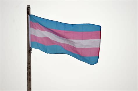 We See You And We Hear You Washtenaw County To Recognize Transgender Day Of Visibility