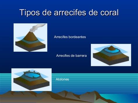 Arrecife De Coral Que Son Como Se Forman Tipos Y Su Importancia