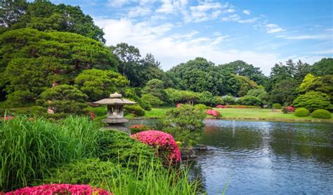 The 12 Best Japanese Gardens In Tokyo