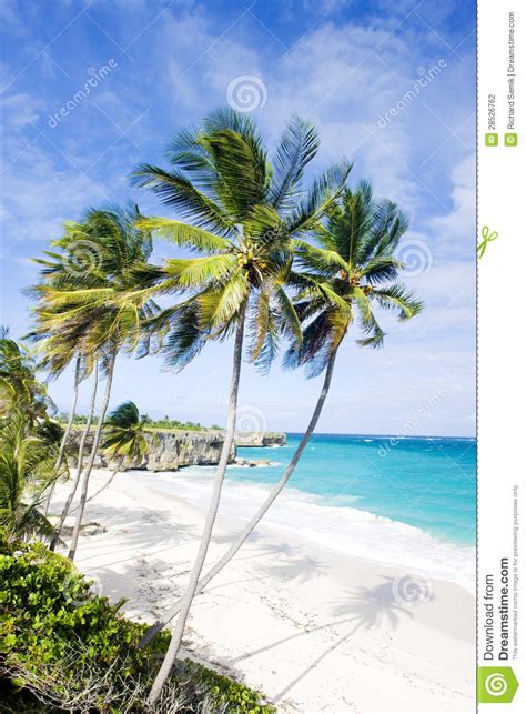 Bottom Bay Stock Photo Image Of Island Outdoors Paradise 28526762