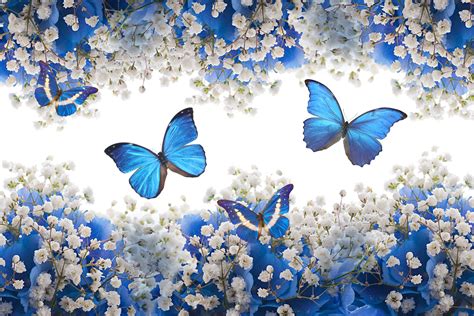 Butterflies Wallpaper En 2021 Mariposas Fondos De Pan Vrogue Co