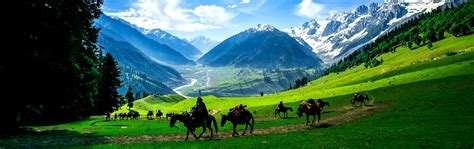 10 Days 9 Nights Yolo Adventures Pahalgam Gulmarg Sonmarg Srinagar Yolo