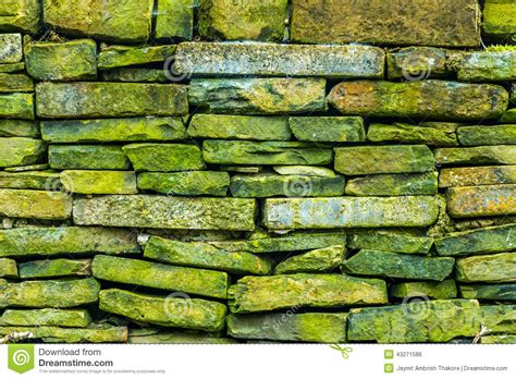 Green Rock Pattern Stock Photo Image Of Design Detail 43271586