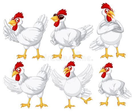 Set Of Different Farm Chickens In Cartoon Style Stock Vector