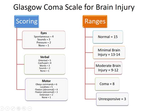 Glasgow Coma Scale Gcs Glasgow Coma Scale Glasgow Levels Of Porn Sex My Xxx Hot Girl