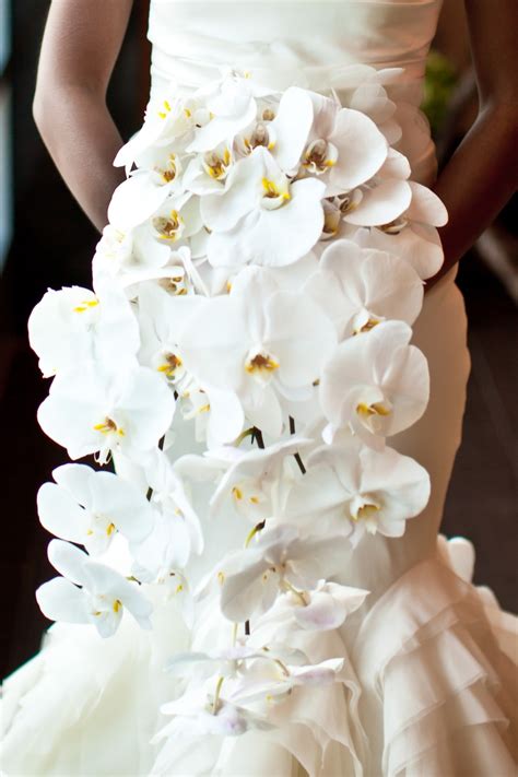 Bouquets Photos Large White Orchid Bouquet Inside Weddings