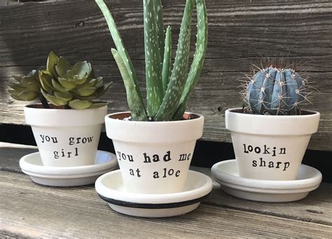 Funny 3 Succulent Flower Pot By Aki Company On Etsy Succulents Punny Plant Plant Pun Funny