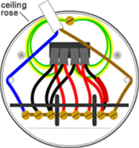 In the event that you just are setup a ceiling fan with three wires, at that point it's possible not going to incorporate wiring for the lighting kit. Looped-in lighting wiring - the ceiling rose