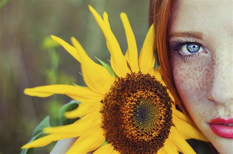 2048x1365 Women Redhead Blue Eyes Freckles Sunflowers Wallpaper