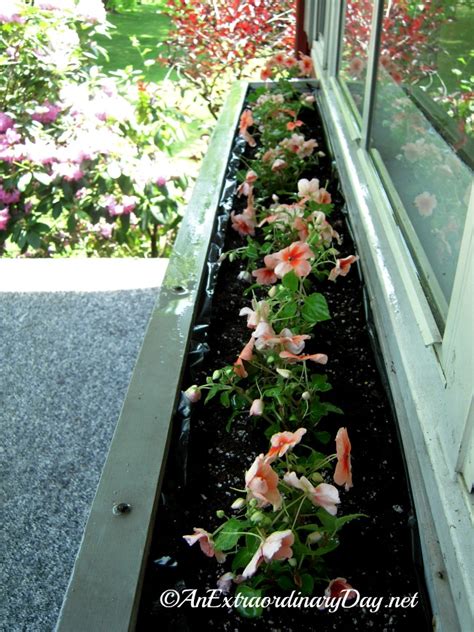 How To Plant A Window Box Garden Tutorial And Planting
