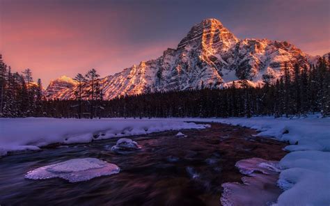 1650x794 Canada Sunrise Mountain Lake Forest Frost Snowy Peak Clouds