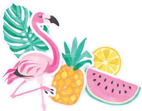 Download High Quality flamingo clipart summer Transparent PNG Images png image