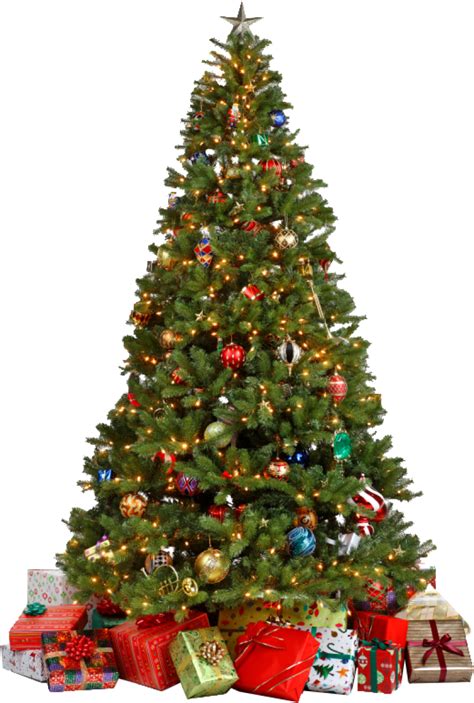 Traditional Christmas Tree With Ts Png Image Purepng Free