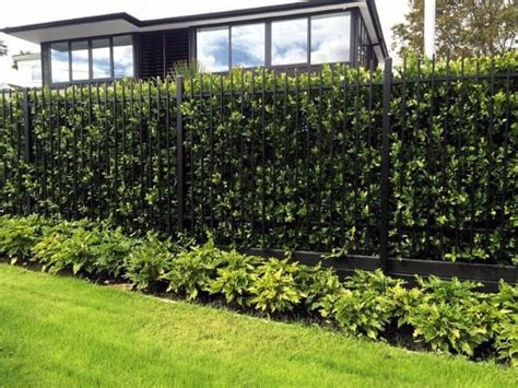 Top 50 Best Privacy Fence Ideas Shielded Backyard Designs