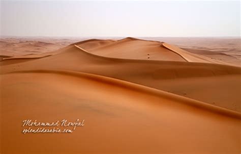 Deserts Of Saudi Arabia Splendid Arabia