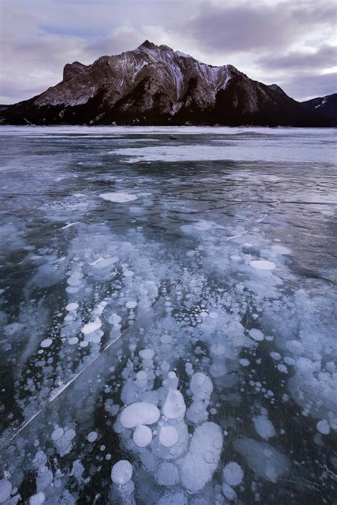 Frozen Abraham Frozen Methane Bubbles On Abraham Lake Liping Photo