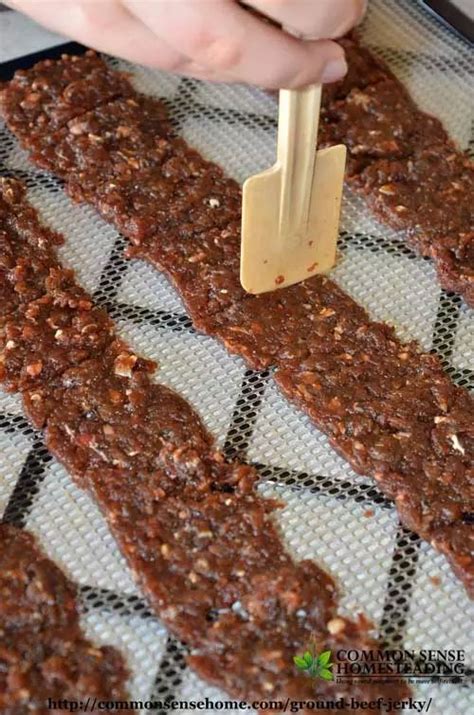 You'll find one that you really love and can try out during hunting season. Ground Beef Jerky | Recipe | Jerky recipes, Ground beef ...