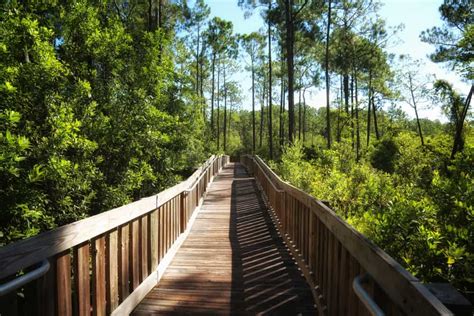 12 Best Hikes In Orlando You Shouldnt Miss Florida Trippers