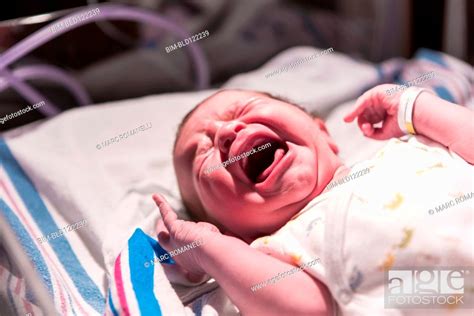 Caucasian Newborn Baby Crying In Hospital Crib Stock Photo Picture