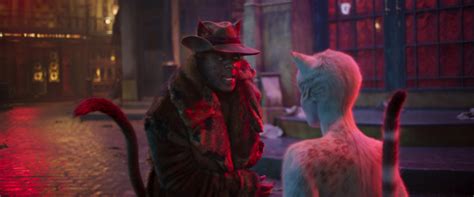 Cats - Película - 2019 - Crítica | Reparto | Sinopsis | Premios - decine21.com