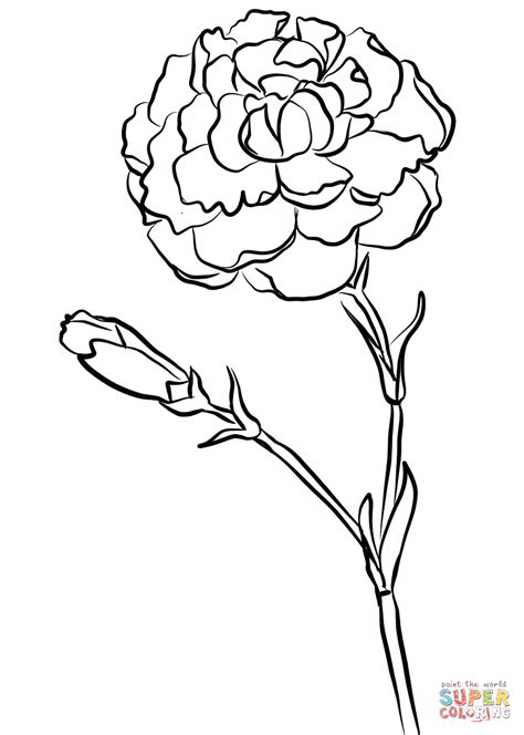 Carnation Chomley Farran Coloring Page Free Printable Coloring