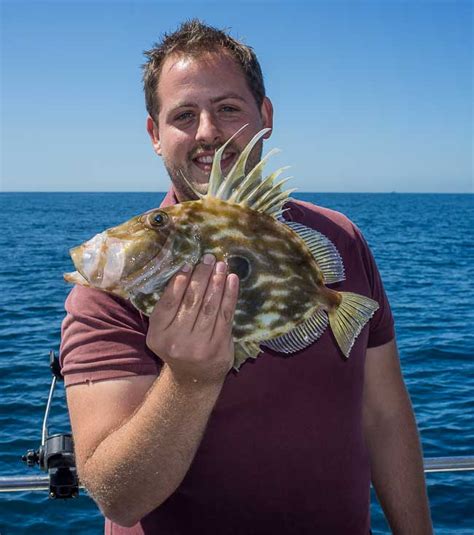 John Dory For Grey Viking Brighton Sea Fishing Report