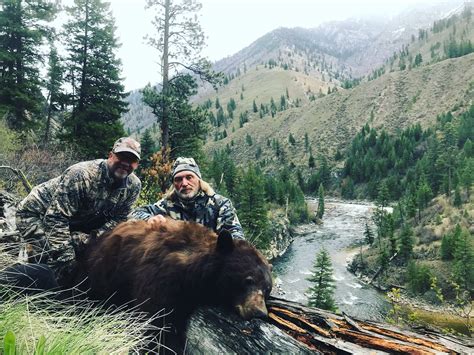 Idaho Black Bear Hunts Idaho Bear Hunting Outfitters Idaho Bear