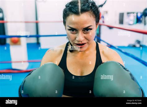 Portrait Of Female Boxer In Boxing Ring Stock Photo Alamy