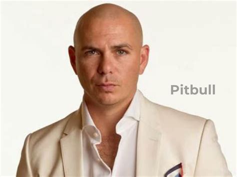 Pitbull Net Worth 2023 Pitbulls Biography And Income