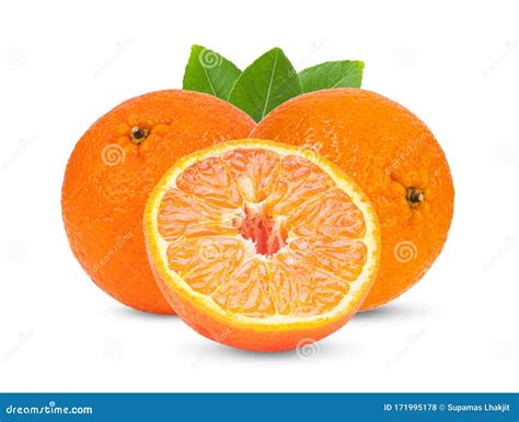 Mandarin Tangerine Citrus Fruit Isolated On White Background Stock