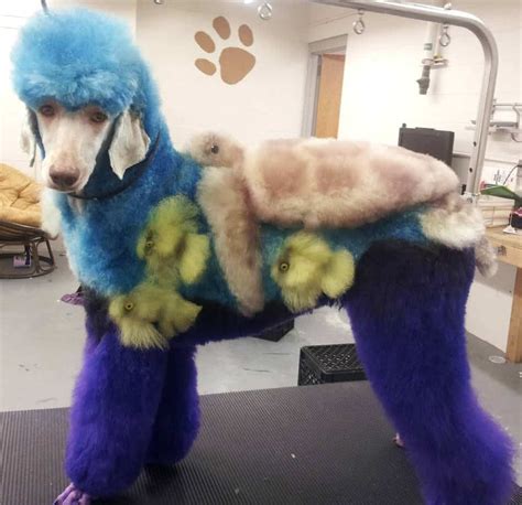 20 Hilarious Examples Of Dog Grooming
