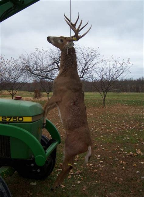 I Have Been Hunting For 25 Years Biggest Deer I Have