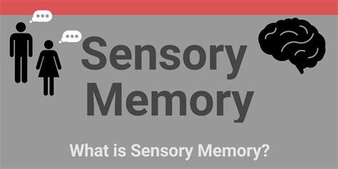 Sensory Memory Infogram