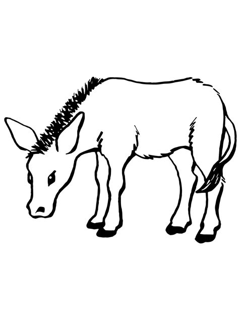 Make your world more colorful with printable coloring pages from crayola. Free Printable Donkey Coloring Pages For Kids