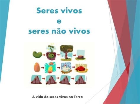 Aprender É Divertido Seres Vivos E Seres NÃo Vivos 911