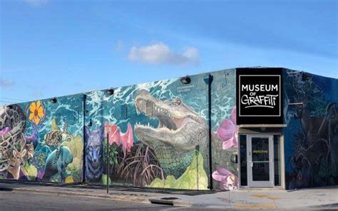 Museum Of Graffiti Greater Miami And Miami Beach