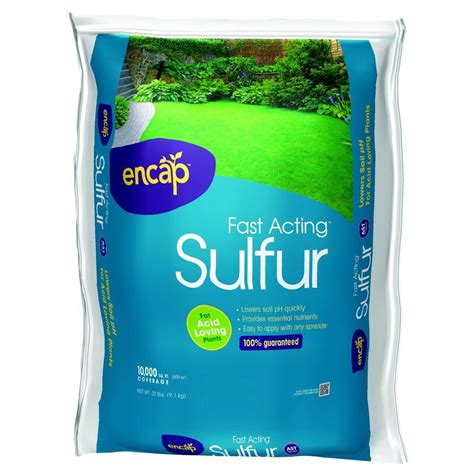 Check spelling or type a new query. Encap 20 lb. Fast Acting Sulfur-100510896 - The Home Depot