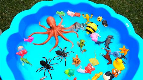 Sea Animal Toys For Kids Learn Wild Animals Names Sea Animals