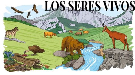 Los Seres Vivos 3° Los Seres Vivos