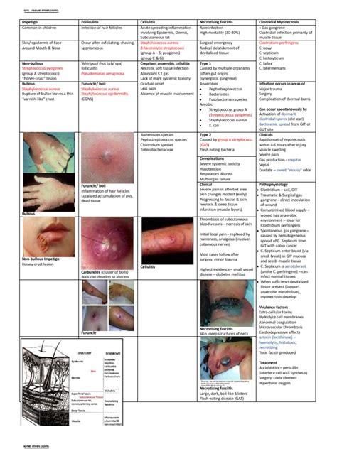 Soft Tissue Infection Streptococcus Microbiology