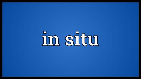 | meaning, pronunciation, translations and examples. In situ Meaning - YouTube