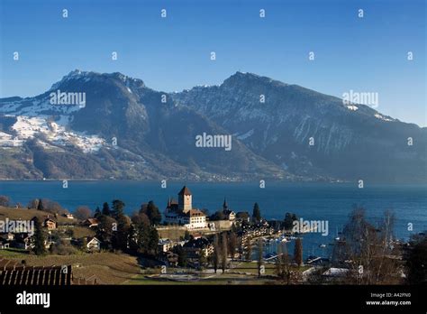 Switzerland Bernese Oberland Spiez Castle Lake Thun In Winter Stock