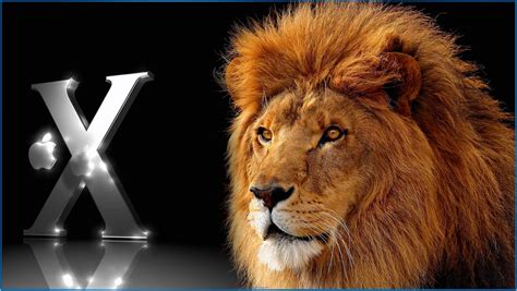 Support us by sharing the content, upvoting wallpapers on the page or sending your own. 3d screensaver mac lion - Download free