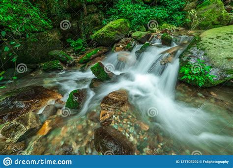 Beautiful Waterfall In Deep Forest At Waterfall In Himalayas Sainj