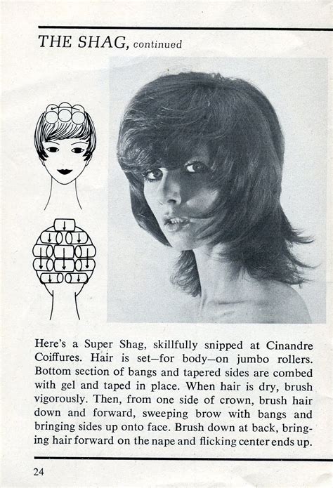Admin march 14, 2017 hairstyles no comments. Beauty is a thing of the past: The Shag
