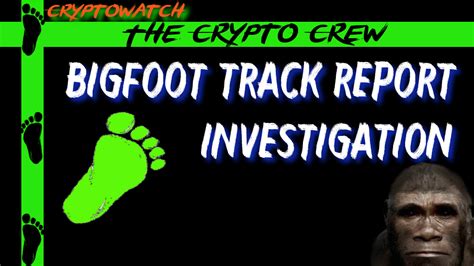 Bigfoot Track Report Investigation The Crypto Crew